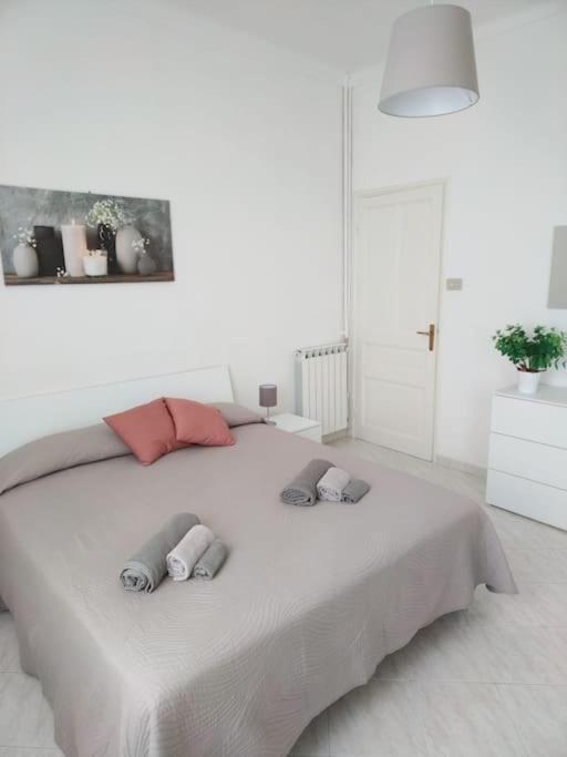 Casa Noemi, A Pochi Passi Dalle Spiagge E Dal Centro Di Arma Di Taggia. ภายนอก รูปภาพ